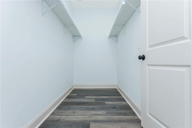 spacious closet with dark hardwood / wood-style flooring