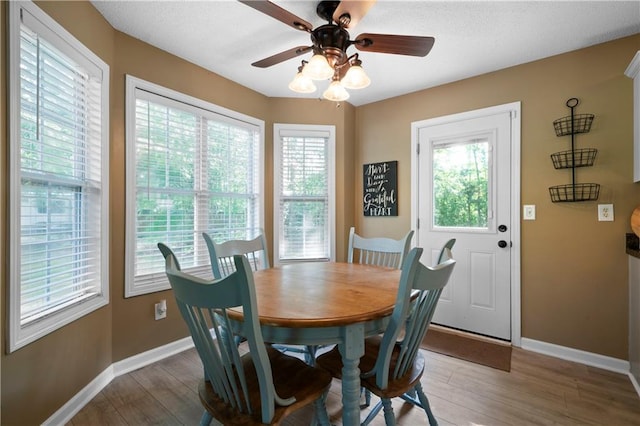 71 Headland Ct, Rockmart, GA 30153 - dining space with baseboards, light wood-type flooring, and a ceiling fan