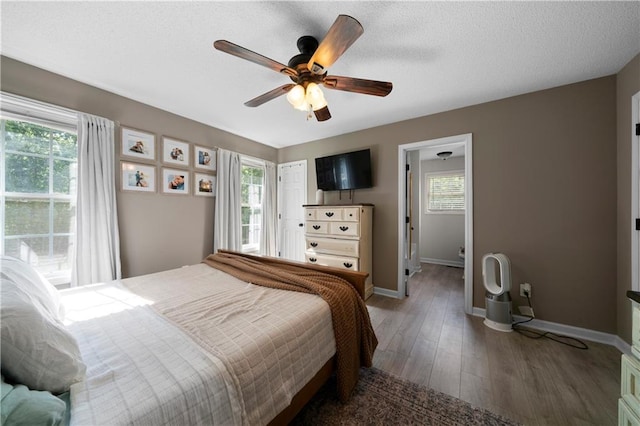 71 Headland Ct, Rockmart, GA 30153 - bedroom with baseboards, multiple windows, light wood-style floors, and ceiling fan