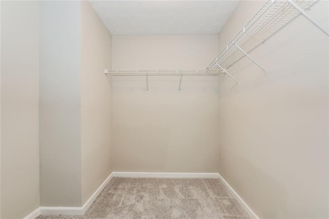 walk in closet with light carpet