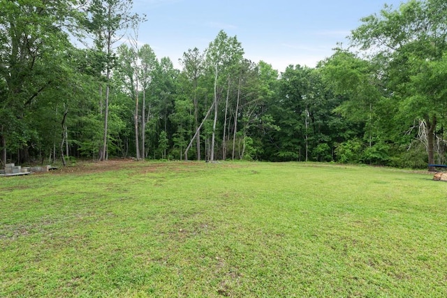 view of green lawn