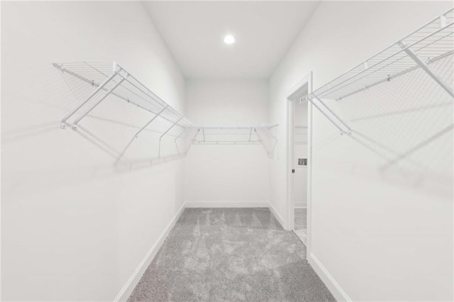 walk in closet with carpet