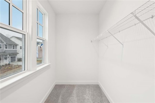 walk in closet with carpet