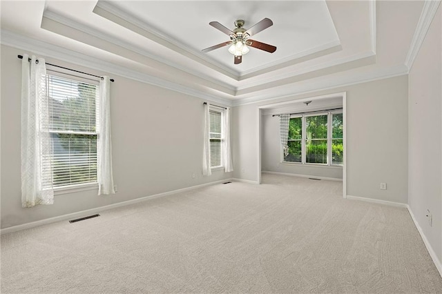4440 Green Summers Dr, Cumming, GA 30028 - spare room featuring a raised ceiling, crown molding, plenty of natural light, a ceiling fan, and light carpet