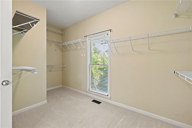 4440 Green Summers Dr, Cumming, GA 30028 - walk in closet featuring carpet floors