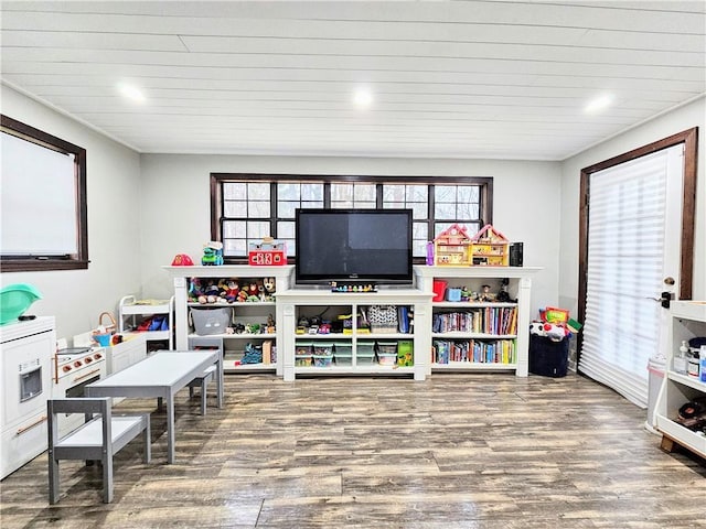 playroom with wood finished floors