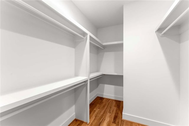 spacious closet with light wood-type flooring