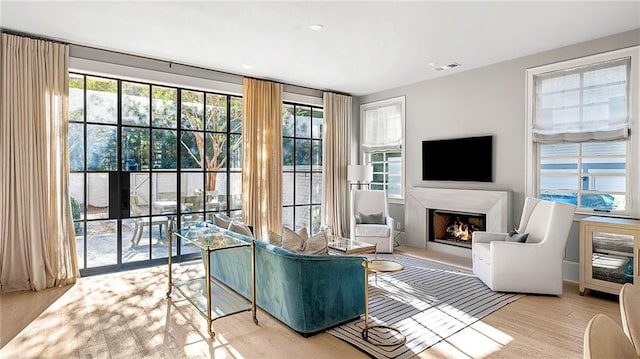 living room with a healthy amount of sunlight and light wood-type flooring