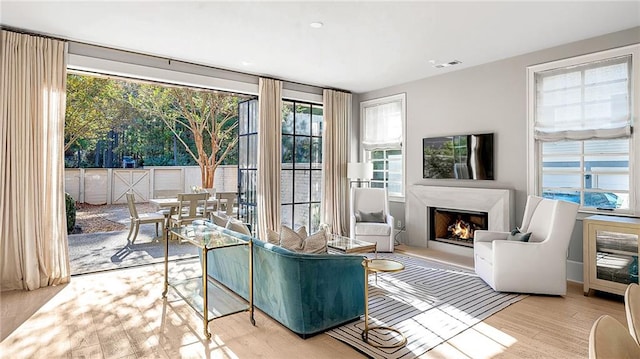 living room featuring light hardwood / wood-style floors and a healthy amount of sunlight