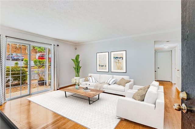 living room with light wood-type flooring and crown molding