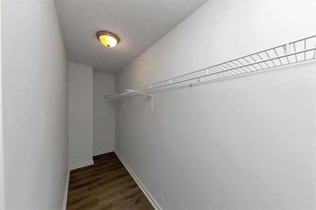 walk in closet featuring dark wood-type flooring