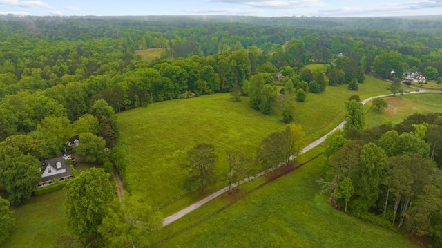 bird's eye view of a forest