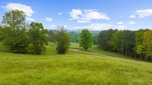 view of grassy yard featuring a view of rural / pastoral area