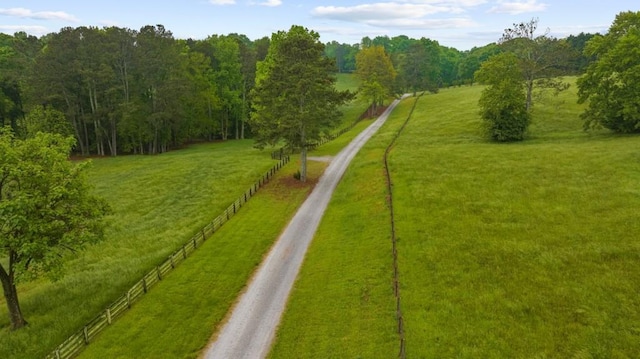 surrounding community with dirt driveway, a rural view, and a forest view