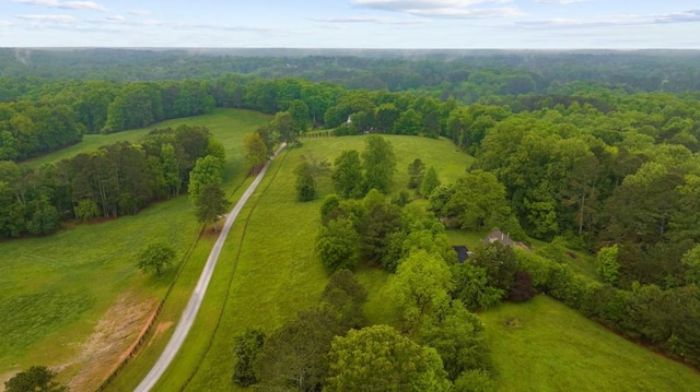 bird's eye view of a forest