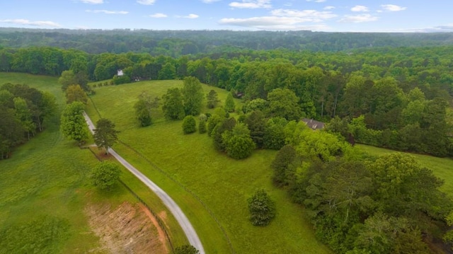 drone / aerial view of a forest