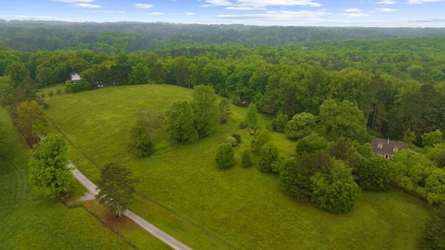 aerial view of a forest