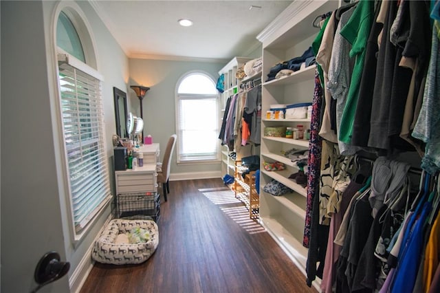1345 Quail Hollow Dr, Hamilton, GA 31811 - walk in closet featuring wood finished floors