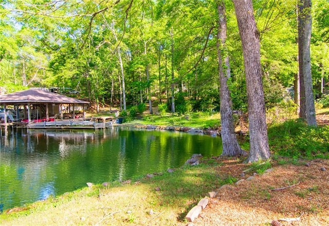 1345 Quail Hollow Dr, Hamilton, GA 31811 - water view featuring a forest view and a dock