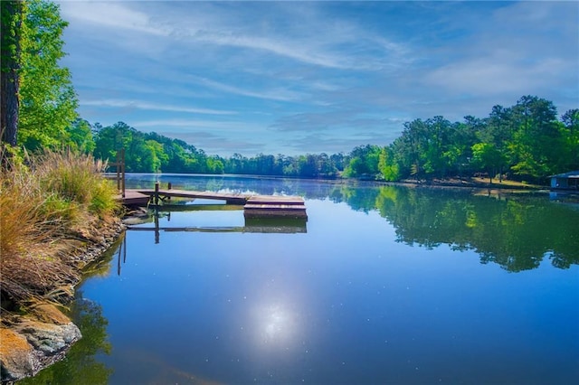 1345 Quail Hollow Dr, Hamilton, GA 31811 - water view with a forest view and a boat dock