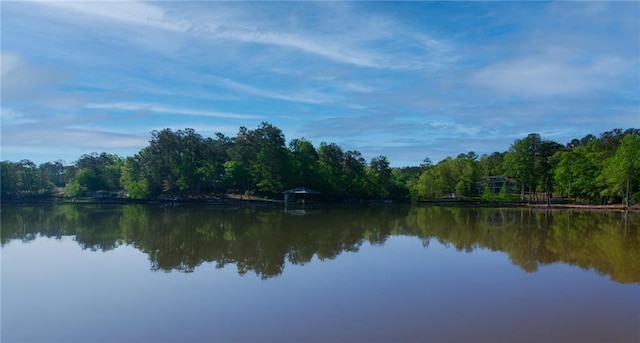 1345 Quail Hollow Dr, Hamilton, GA 31811 - property view of water with a wooded view