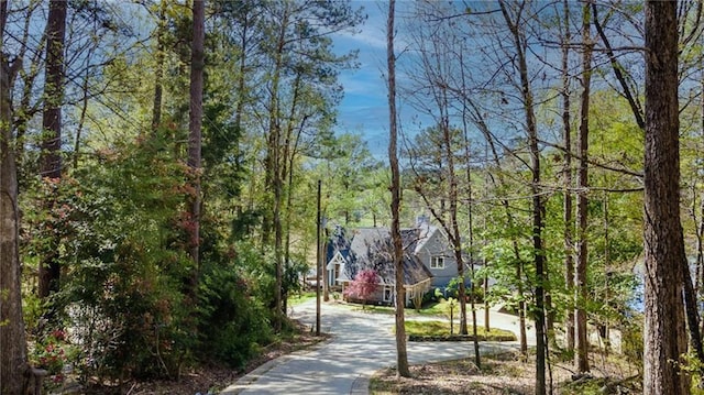 1345 Quail Hollow Dr, Hamilton, GA 31811 - view of property's community featuring a wooded view