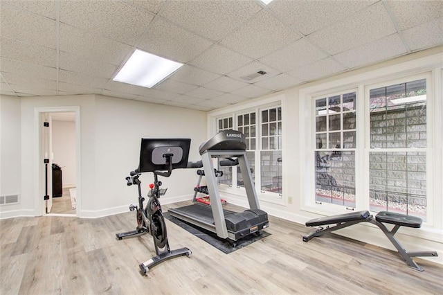 workout room with hardwood / wood-style floors and a drop ceiling