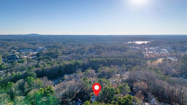 aerial view with a view of trees