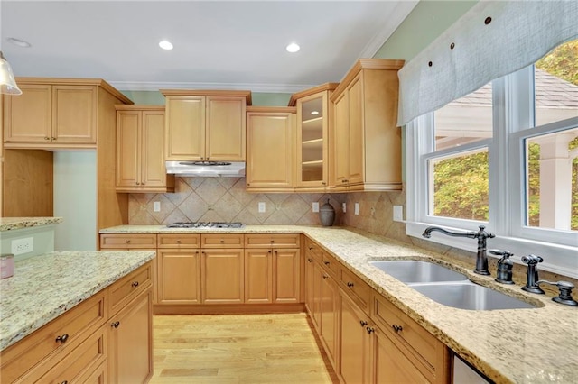 kitchen featuring light hardwood / wood-style floors, ornamental molding, sink, and light stone counters