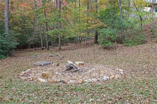 view of local wilderness