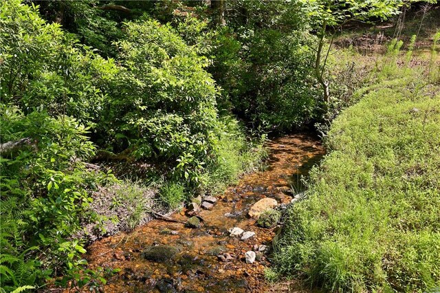 view of local wilderness