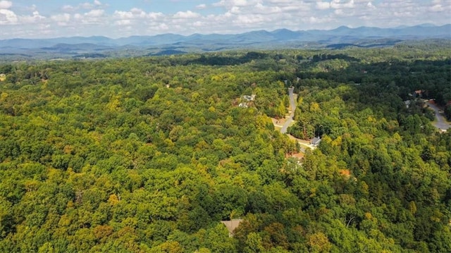 aerial view with a mountain view