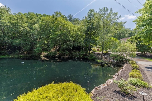 51 Mountain Ridge Dr SE, Cartersville, GA 30120 - water view