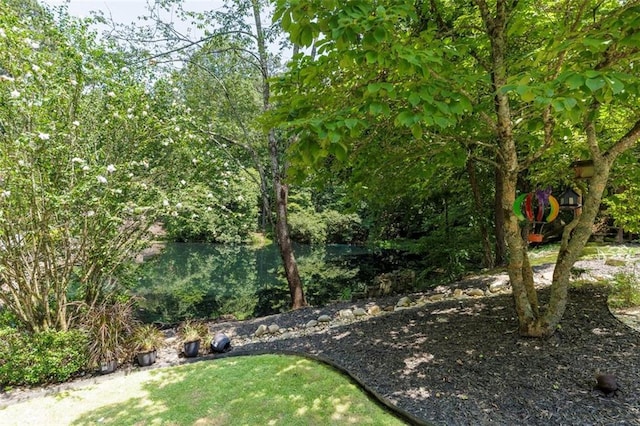 51 Mountain Ridge Dr SE, Cartersville, GA 30120 - view of yard