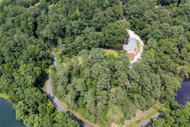 51 Mountain Ridge Dr SE, Cartersville, GA 30120 - aerial view of property's location with a nearby body of water and a forest