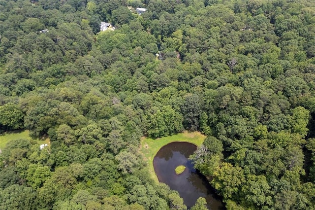 51 Mountain Ridge Dr SE, Cartersville, GA 30120 - view of property location featuring a nearby body of water and a heavily wooded area