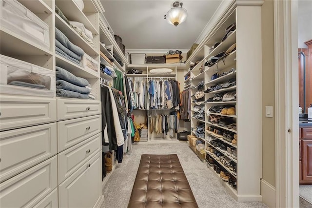 51 Mountain Ridge Dr SE, Cartersville, GA 30120 - walk in closet with carpet