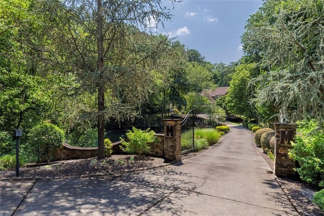 51 Mountain Ridge Dr SE, Cartersville, GA 30120 - surrounding community