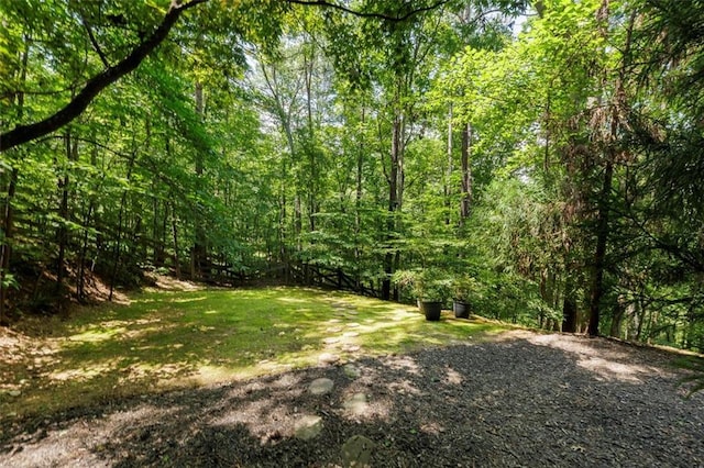 51 Mountain Ridge Dr SE, Cartersville, GA 30120 - view of tree filled area