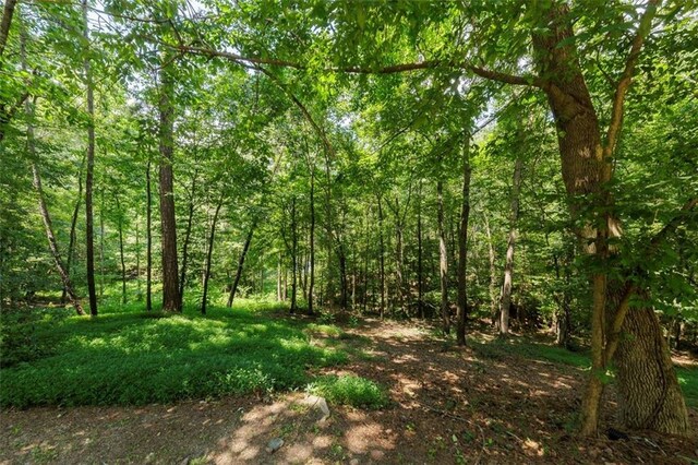 51 Mountain Ridge Dr SE, Cartersville, GA 30120 - view of wooded area
