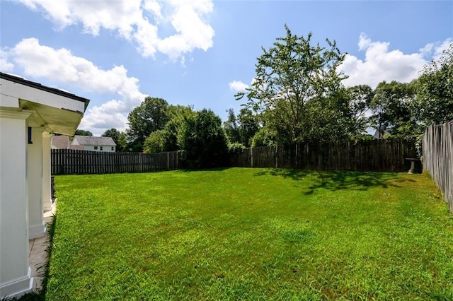 view of yard featuring a fenced backyard