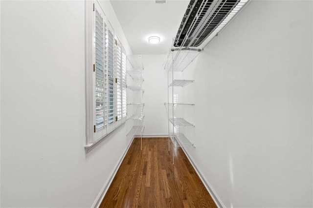 spacious closet featuring dark hardwood / wood-style floors