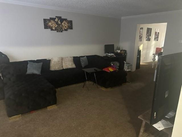 carpeted living room featuring ornamental molding and a textured ceiling