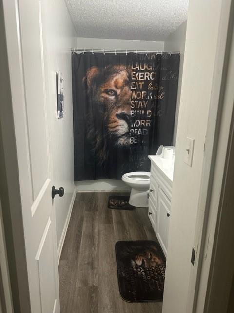 bathroom with vanity, wood-type flooring, toilet, and a textured ceiling