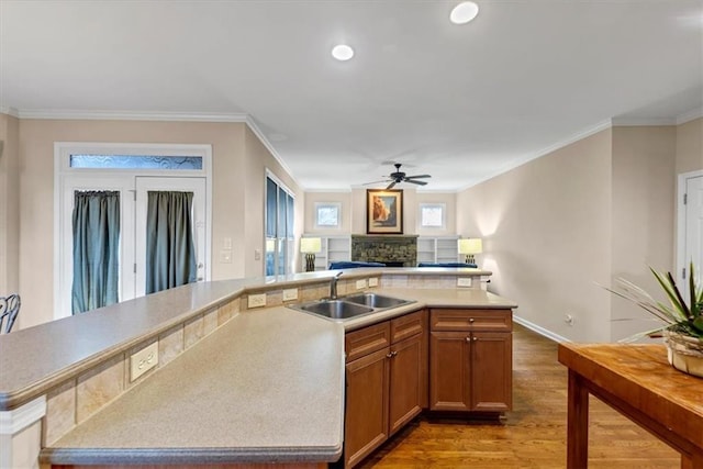 kitchen with hardwood / wood-style floors, ceiling fan, a healthy amount of sunlight, and sink