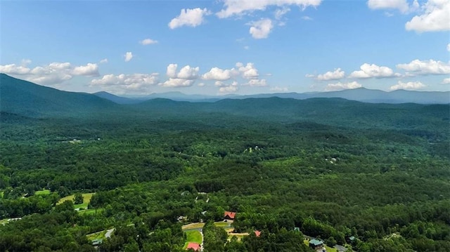 303 Clarice Ln, Sautee Nacoochee, GA 30571 - view of mountain backdrop with a heavily wooded area