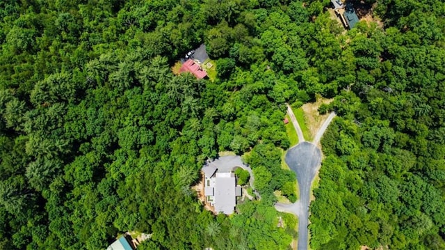 303 Clarice Ln, Sautee Nacoochee, GA 30571 - aerial overview of property's location