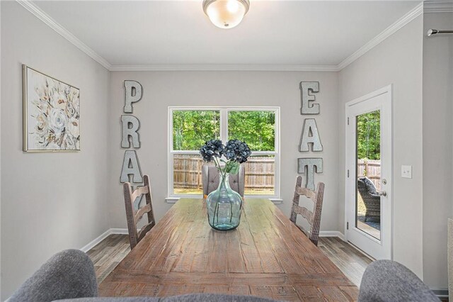 dining area featuring crown molding, wood finished floors, and a wealth of natural light