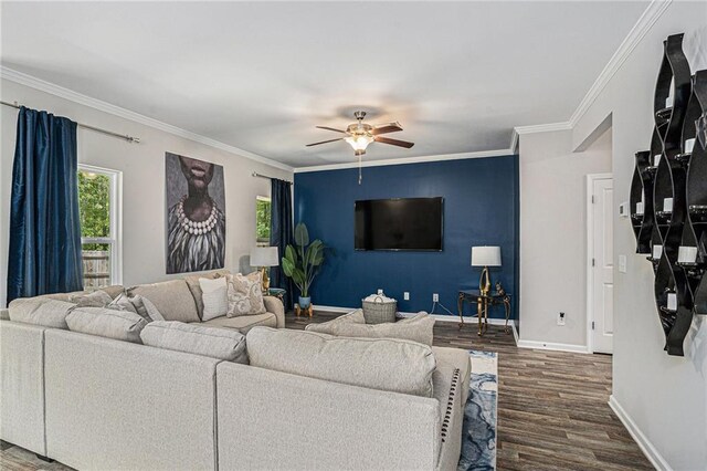 living area featuring crown molding, baseboards, ceiling fan, and wood finished floors