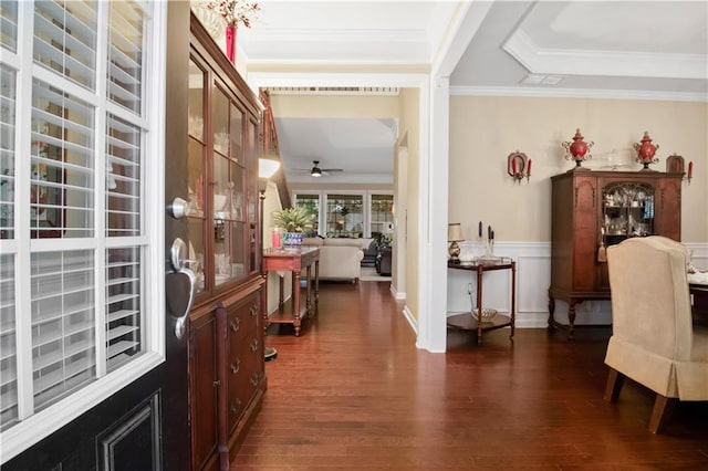 entryway with ceiling fan, dark wood-type flooring, and crown molding